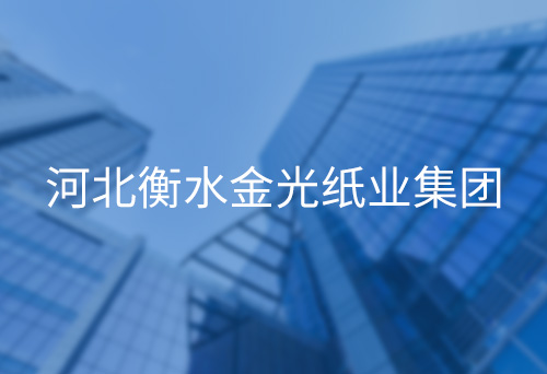 山東河北衡水金光紙業(yè)集團